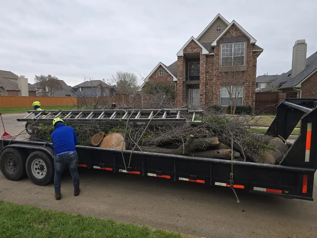 Expert Tree Fertilization with proper safety equipment in Ambridge